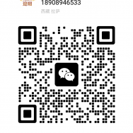 Yingzhao WeChat QR code