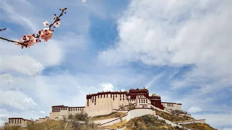 Lhasa, Nyingchi & Potala Palace: Five-Day Private Tour