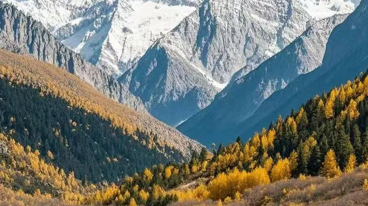 Chengdu–Lhasa Small-Group Tour via Daocheng Yading, Bomi & Nyingchi