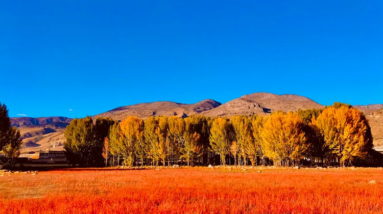Sichuan–Tibet Highway, Daocheng Yading, Nyingchi & Lhasa: Ten-Day Group Tour