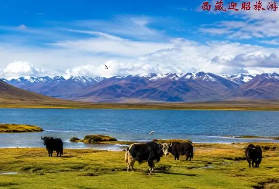 Zhegu Lake