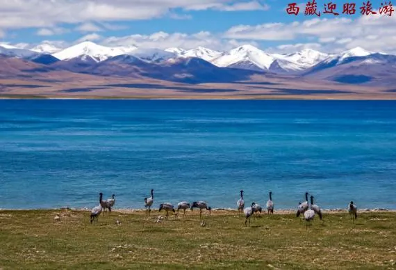 Siling Tso